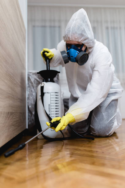 Best Residential Pest Control  in Virginia, IL